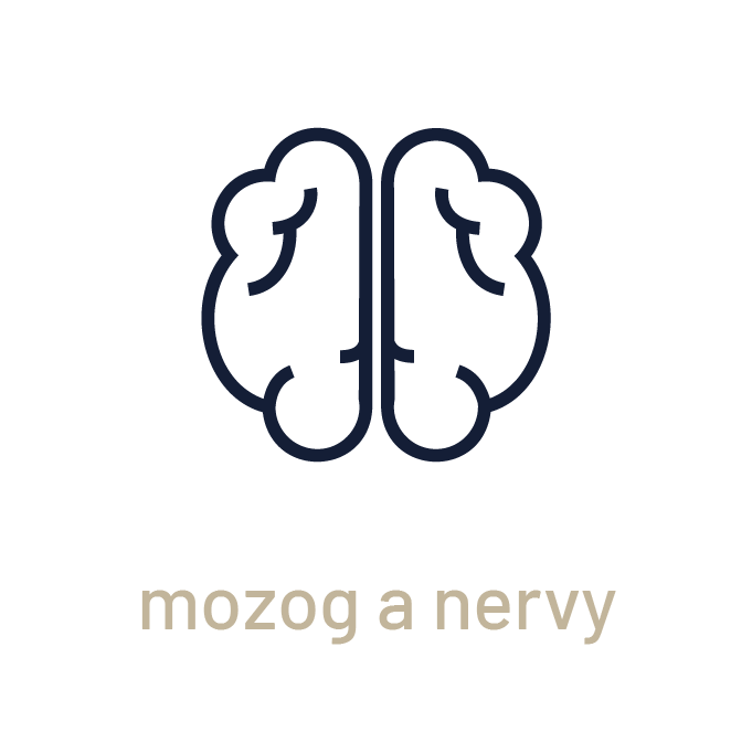 mozog a nervy_SK